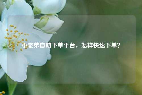 小老弟自助下单平台，怎样快速下单？