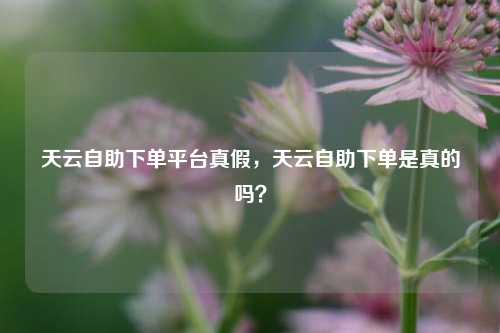 天云自助下单平台真假，天云自助下单是真的吗？