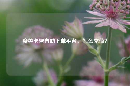 魔兽卡盟自助下单平台，怎么充值？