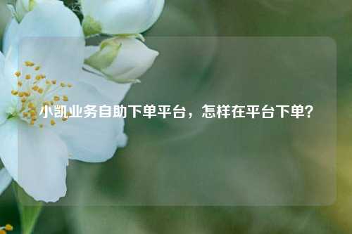 小凯业务自助下单平台，怎样在平台下单？