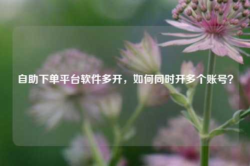 自助下单平台软件多开，如何同时开多个账号？