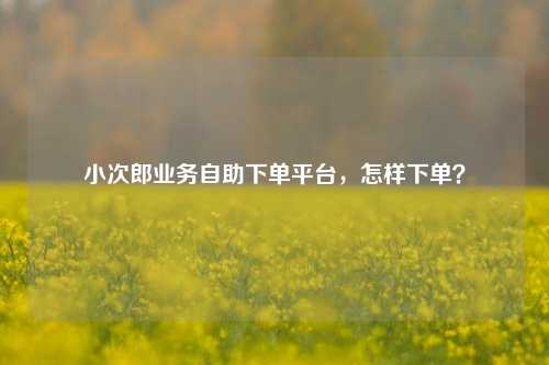 小次郎业务自助下单平台，怎样下单？