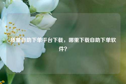 质量自助下单平台下载，哪里下载自助下单软件？