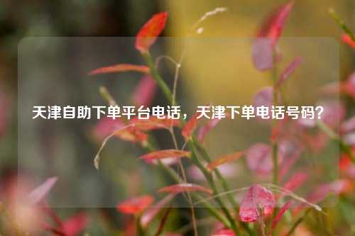 天津自助下单平台电话，天津下单电话号码？