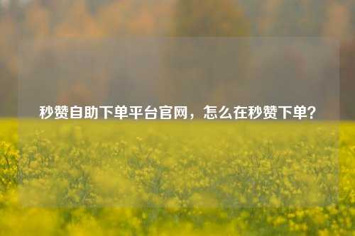 秒赞自助下单平台官网，怎么在秒赞下单？