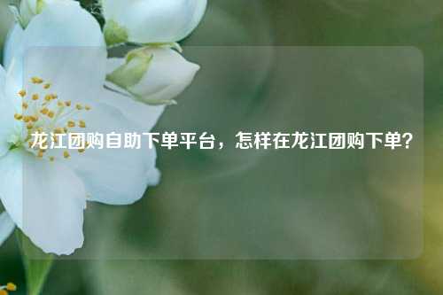 龙江团购自助下单平台，怎样在龙江团购下单？