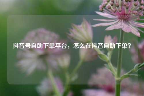 抖音号自助下单平台，怎么在抖音自助下单？
