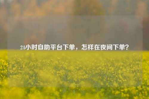 24小时自助平台下单，怎样在夜间下单？