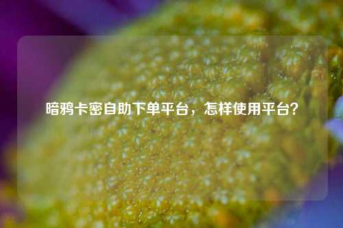 暗鸦卡密自助下单平台，怎样使用平台？