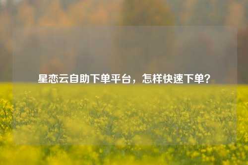 星恋云自助下单平台，怎样快速下单？
