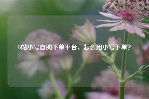 b站小号自助下单平台，怎么用小号下单？