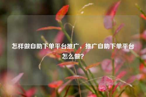 怎样做自助下单平台推广，推广自助下单平台怎么做？