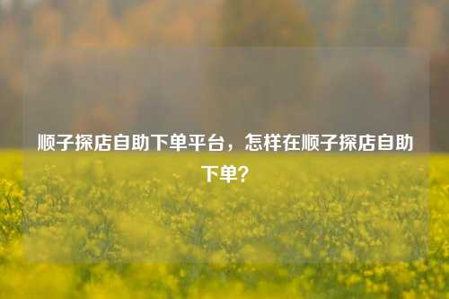 顺子探店自助下单平台，怎样在顺子探店自助下单？