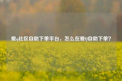 爱q社区自助下单平台，怎么在爱Q自助下单？