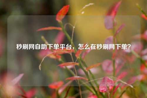 秒刷网自助下单平台，怎么在秒刷网下单？