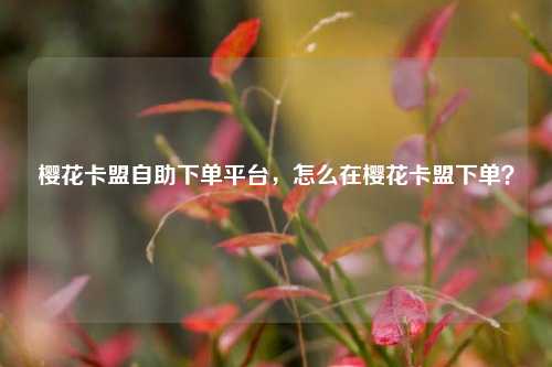 樱花卡盟自助下单平台，怎么在樱花卡盟下单？