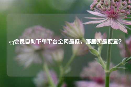 qq会员自助下单平台全网最低，哪里买最便宜？