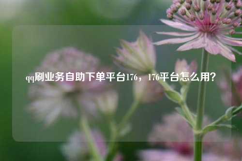 qq刷业务自助下单平台176，176平台怎么用？