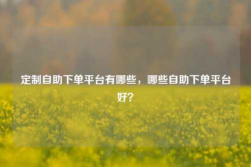 定制自助下单平台有哪些，哪些自助下单平台好？